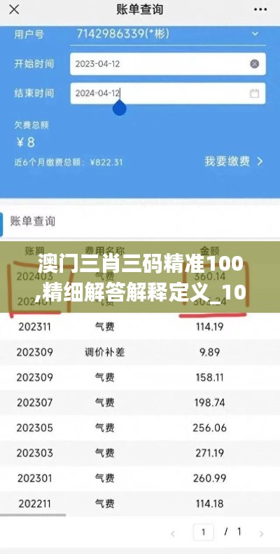澳门三肖三码精准100,精细解答解释定义_1080p5.824