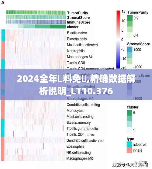 2024全年資料免費,精确数据解析说明_LT10.376