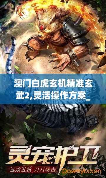 澳门白虎玄机精准玄武2,灵活操作方案_挑战版1.567