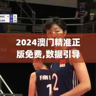 2024澳门精准正版免费,数据引导策略解析_OP7.612