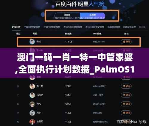 澳门一码一肖一特一中管家婆,全面执行计划数据_PalmOS110.470
