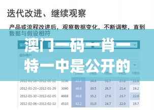 澳门一码一肖一特一中是公开的吗,全面解析数据执行_静态版110.319