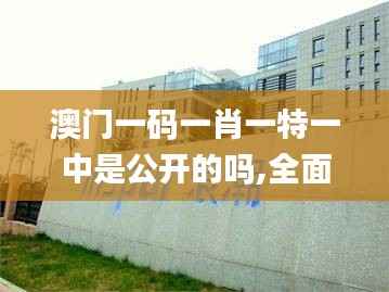 澳门一码一肖一特一中是公开的吗,全面解析数据执行_静态版110.319