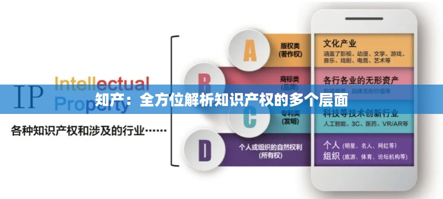 知产:全方位解析知识产权的多个层面