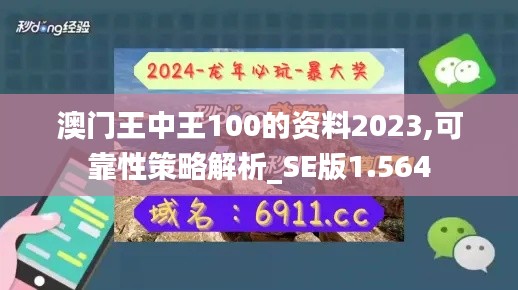 澳门王中王100的资料2023,可靠性策略解析_SE版1.564