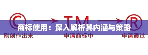 商标使用:深入解析其内涵与策略