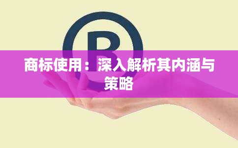 商标使用:深入解析其内涵与策略