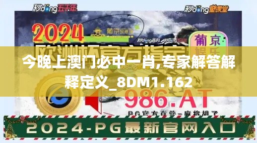 今晚上澳门必中一肖,专家解答解释定义_8DM1.162
