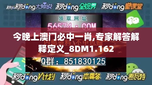 今晚上澳门必中一肖,专家解答解释定义_8DM1.162
