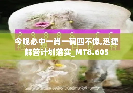 今晚必中一肖一码四不像,迅捷解答计划落实_MT8.605