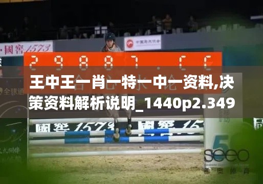 王中王一肖一特一中一资料,决策资料解析说明_1440p2.349