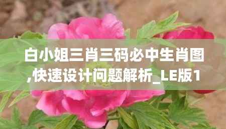 白小姐三肖三码必中生肖图,快速设计问题解析_LE版1.534
