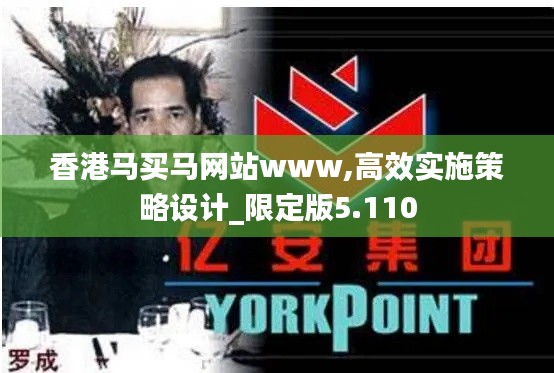 香港马买马网站www,高效实施策略设计_限定版5.110