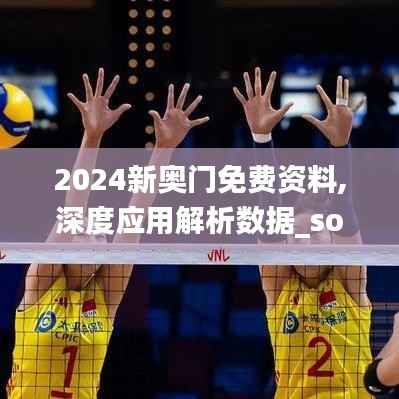 2024新奥门免费资料,深度应用解析数据_soft10.903