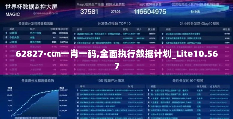 62827·c㎝一肖一码,全面执行数据计划_Lite10.567