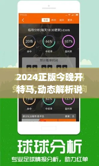2024正版今晚开特马,动态解析说明_Chromebook1.987