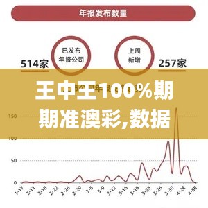 王中王100%期期准澳彩,数据支持方案解析_专业款10.514