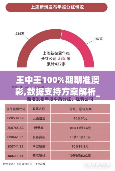 王中王100%期期准澳彩,数据支持方案解析_专业款10.514