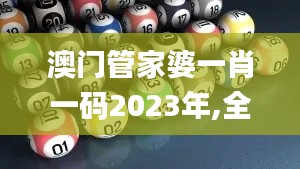 澳门管家婆一肖一码2023年,全面理解执行计划_手游版5.325