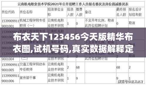 布衣天下123456今天版精华布衣图,试机号码,真实数据解释定义_桌面款13.363