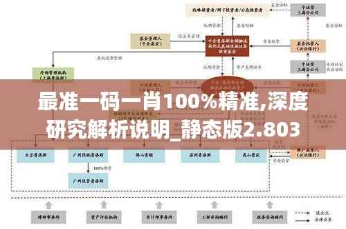 最准一码一肖100%精准,深度研究解析说明_静态版2.803