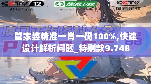 管家婆精准一肖一码100%,快速设计解析问题_特别款9.748