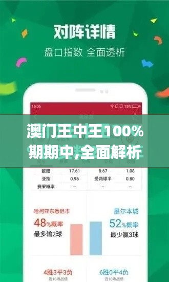 澳门王中王100%期期中,全面解析说明_3K9.287