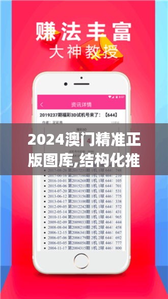 2024澳门精准正版图库,结构化推进评估_DP4.583