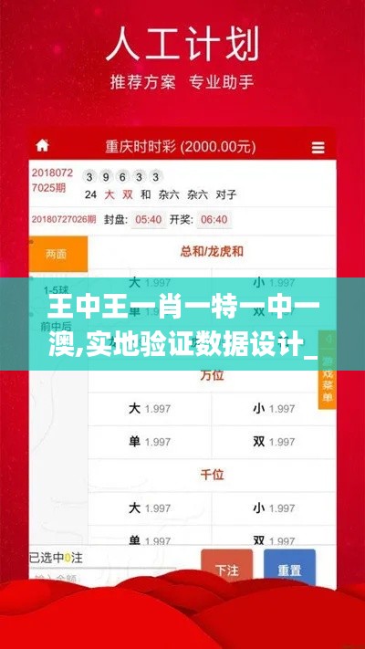 王中王一肖一特一中一澳,实地验证数据设计_入门版9.770