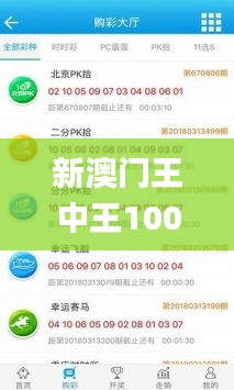 新澳门王中王100%期期中,精细化计划设计_SE版9.558