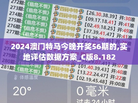 2024澳门特马今晚开奖56期的,实地评估数据方案_C版8.182