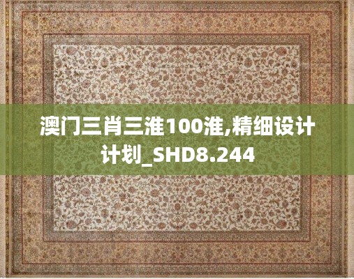 澳门三肖三淮100淮,精细设计计划_SHD8.244