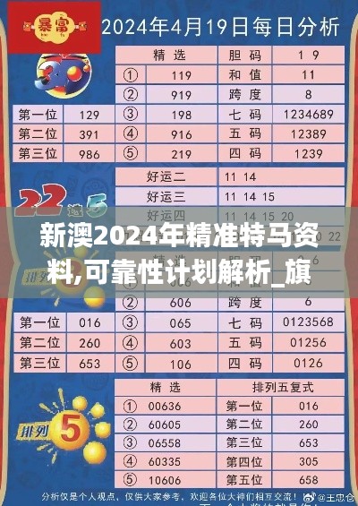 新澳2024年精准特马资料,可靠性计划解析_旗舰款10.132
