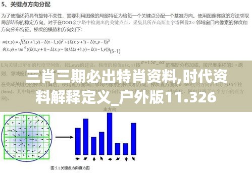 三肖三期必出特肖资料,时代资料解释定义_户外版11.326