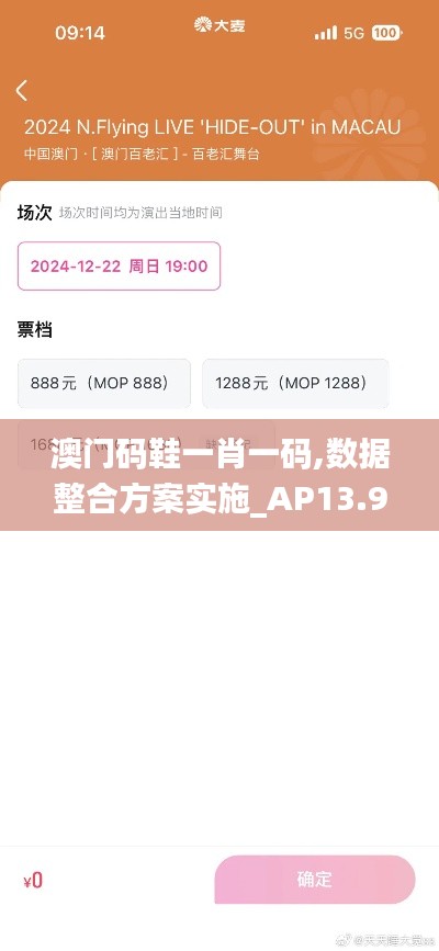 澳门码鞋一肖一码,数据整合方案实施_AP13.985