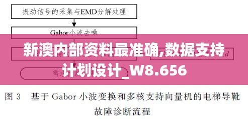 新澳内部资料最准确,数据支持计划设计_W8.656