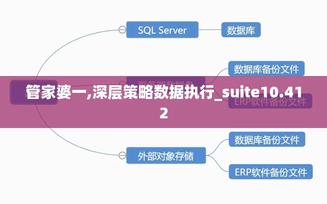 管家婆一,深层策略数据执行_suite10.412