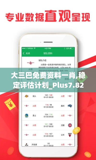 大三巴免费资料一肖,稳定评估计划_Plus7.825