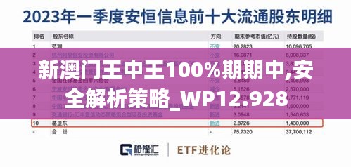 新澳门王中王100%期期中,安全解析策略_WP12.928