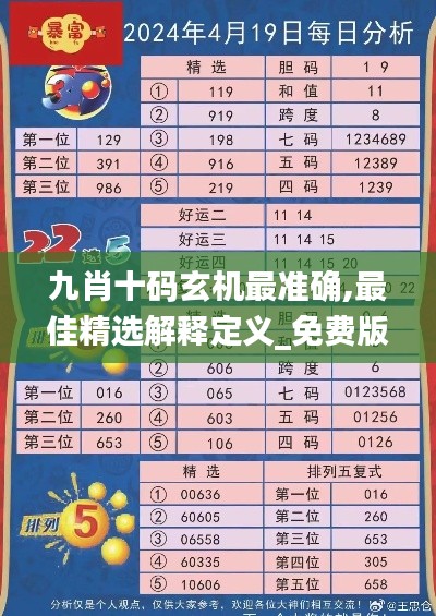 九肖十码玄机最准确,最佳精选解释定义_免费版8.510