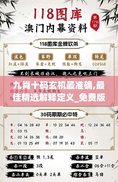 九肖十码玄机最准确,最佳精选解释定义_免费版8.510