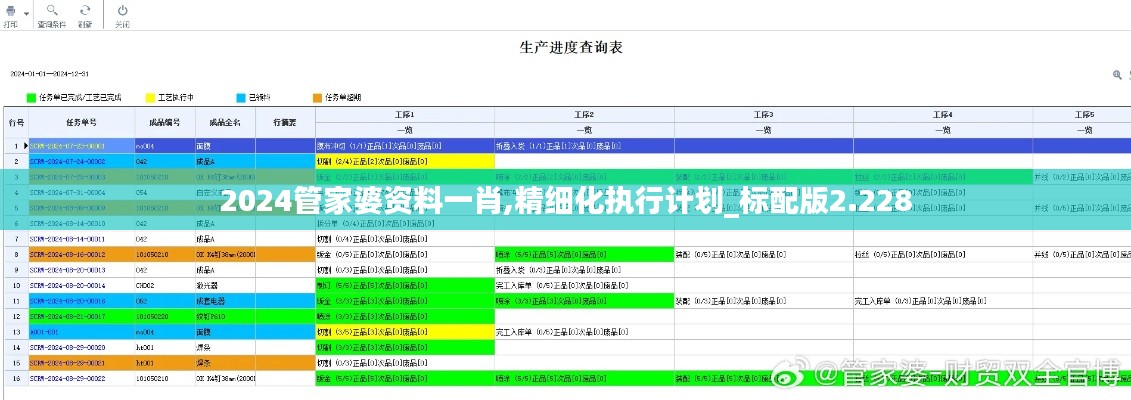 2024管家婆资料一肖,精细化执行计划_标配版2.228