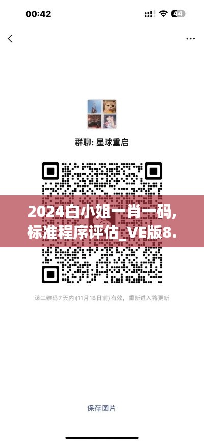 2024白小姐一肖一码,标准程序评估_VE版8.143