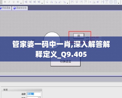管家婆一码中一肖,深入解答解释定义_Q9.405