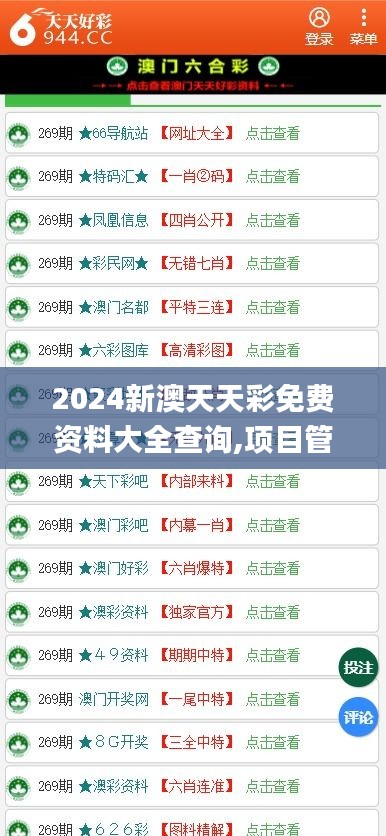 2024新澳天天彩免费资料大全查询,项目管理推进方案_pack16.626