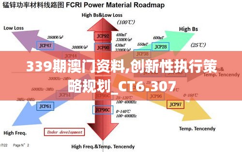 339期澳门资料,创新性执行策略规划_CT6.307