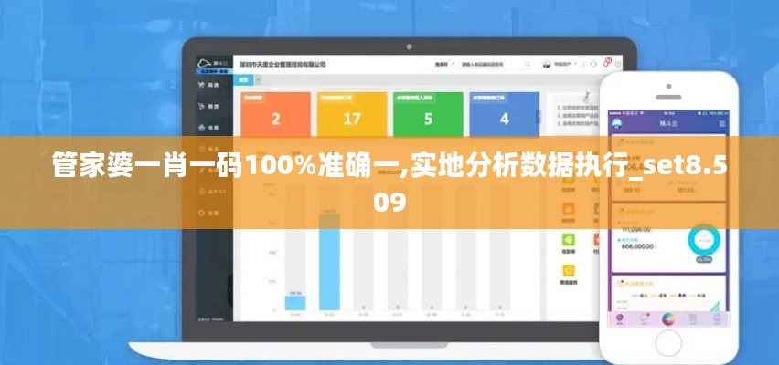 管家婆一肖一码100%准确一,实地分析数据执行_set8.509