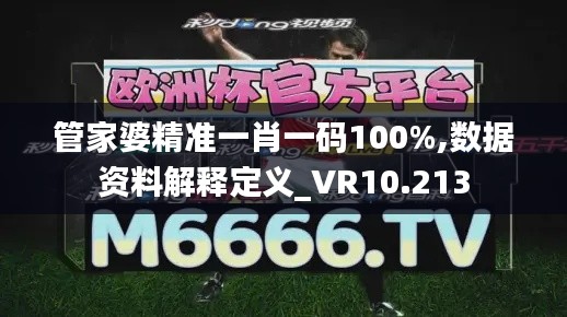 管家婆精准一肖一码100%,数据资料解释定义_VR10.213