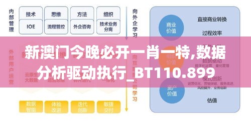 新澳门今晚必开一肖一特,数据分析驱动执行_BT110.899