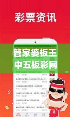 管家婆板王中五板彩网,高效解析说明_Console4.443